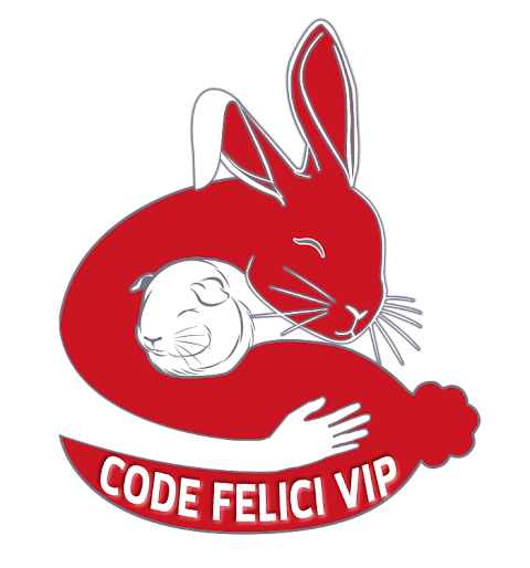 Code Felici Vip di Lazzari Emanuela