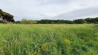 Parco Giochi Ladispoli Palo