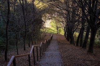 Sentieri Natura Mussolente