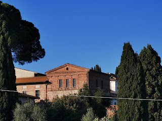 Tenuta Colle Alberti