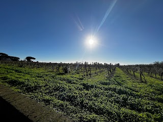 Villa Matilde Avallone