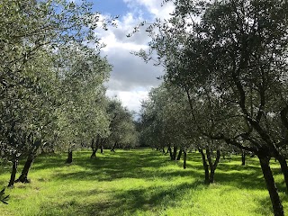 Agriturismo Podere i' Caldino