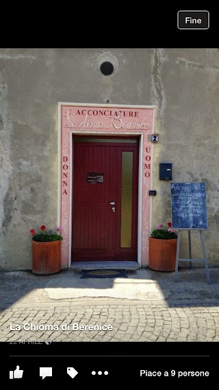 La Chioma Di Berenice Spa per capelli