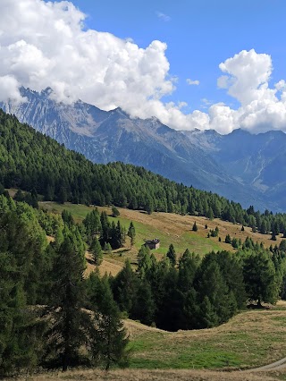 Località Mola