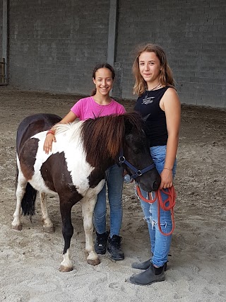 Scuderia il Vecchio Noce di Piacentini P. - collaborazione E.Lavarini Equestrian Team