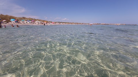 Spiaggia Torre Guaceto - Riserva Naturale