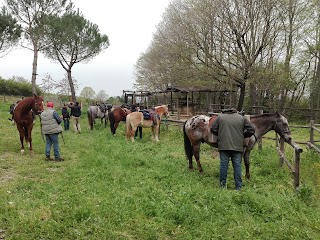 Azienda Agricola Camporegio