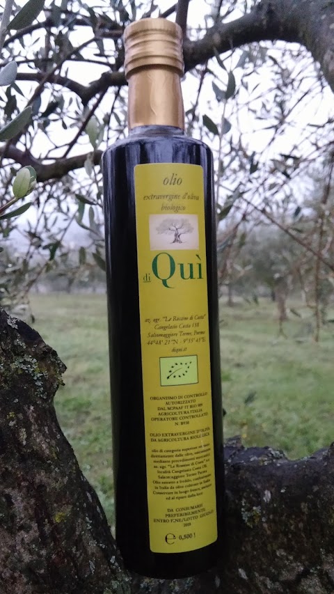 olio extravergine di oliva diQuì