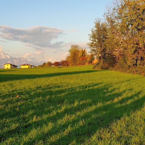 A.C. Renate S.r.l. - Campo sportivo Riboldi