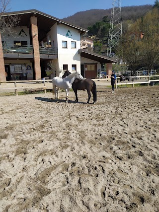 Centro Ippico Daniele Asd