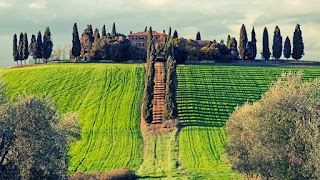 Private Educational Guided Tours Florence/Tuscany - Maurizio Bellini