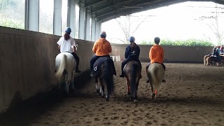 Pony Club La Valle del Bò