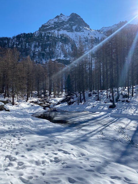 Lago Pellaud