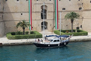 Stenella striata (Gite in barca Taranto) - Onlus