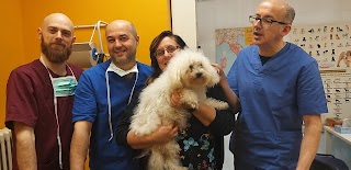 Ambulatorio Veterinario Tre Fontane Di Dott. Bollanaz - Orlandini - Azzimondi