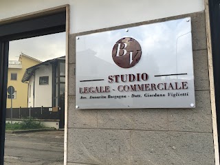 Studio Legale Commerciale BV - Avv. Annarita Borgogna - Dott. Giordano Viglietti
