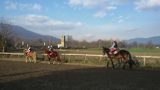 Club Di Equitazione Montinsella