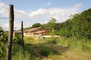 B&B Il Cielo Bio