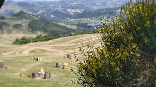 Agriturismo San Valentino