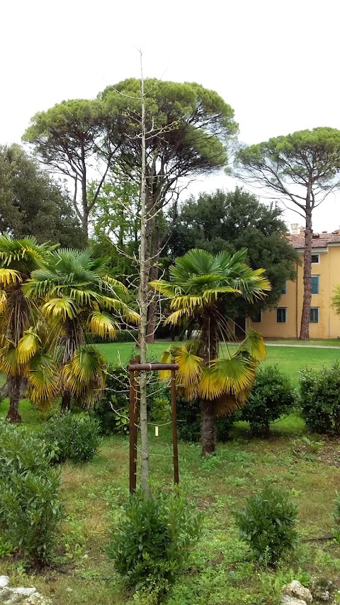 Liceo Classico “Dante Alighieri”