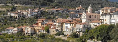 Pensione per Cani e Gatti Gli Ulivi Di Belletrutti Fulvio