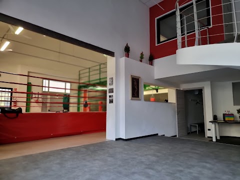 Arena Boxe