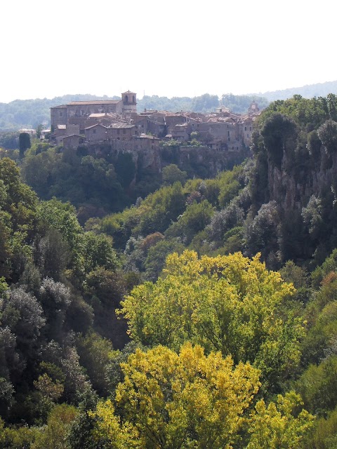 Parco Regionale Marturanum