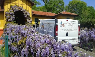 L'Antica Tappezzeria del Viale di Bonaudo Giuseppe