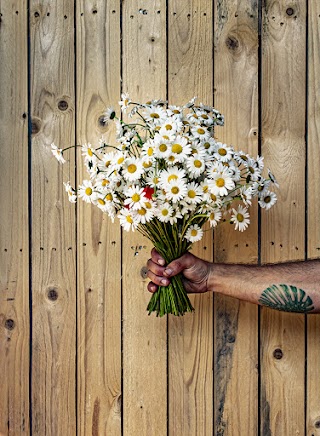 Floricoltura Racca di Alessandro Racca