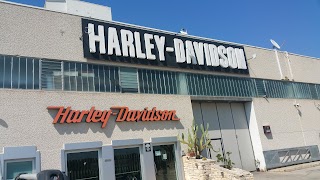 Harley Davidson Bari