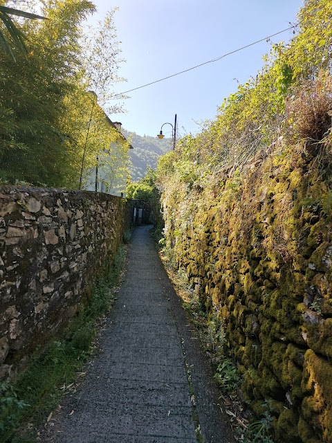 Passeggiata al Promontorio di Portofino