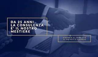 D'elia & Naglieri Consulting