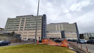 Azienda Ospedaliera Cannizzaro