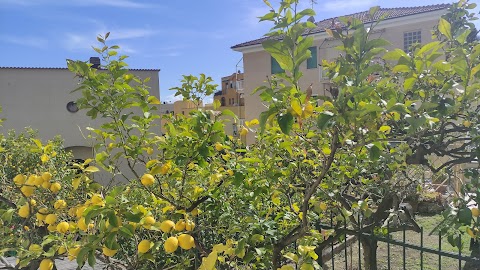 Alimentari Fontana