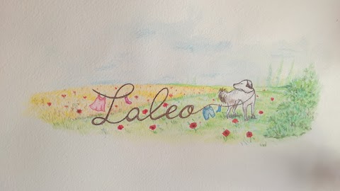 Laleo