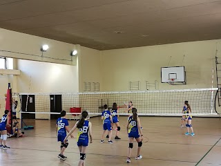 ROMA XVI VOLLEY Scuola di Sport