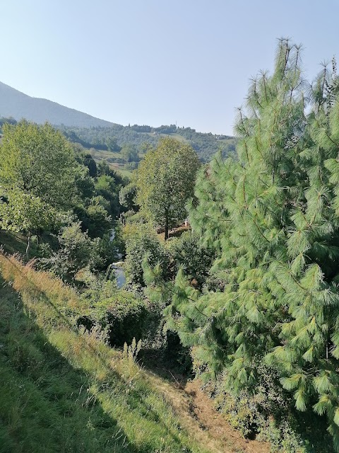 Bar Trattoria Da Dario