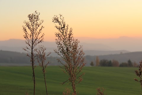 Agriturismo La Palazzina di Ciagnano