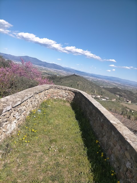 Spizzettando - Carmignano