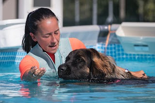 Albadog&co Piscina per cani