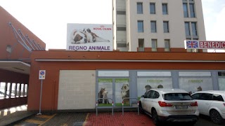 Regno Animale