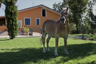 Agriturismo Sant'Isidoro