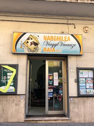 Narghilea Viaggi e Vacanze