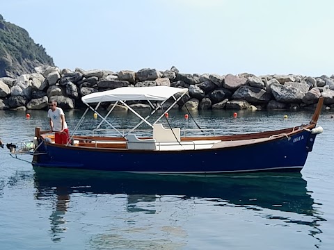 Route Cinqueterre Boat Tours Vernazza