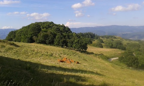 Agriturismo Pratinovi