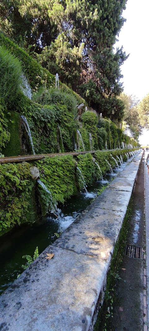 Viale delle Cento Fontane