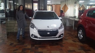 Auto Elite Societa' A R.L.