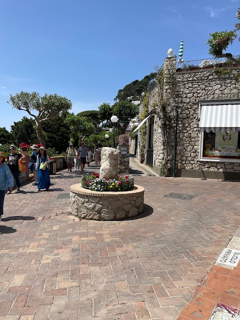 le donne di Capri - charming apartments in Capri