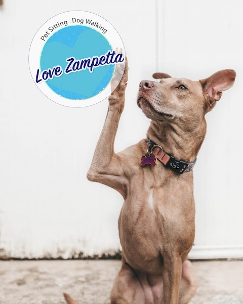 Love Zampetta - Dogsitter - Petsitter