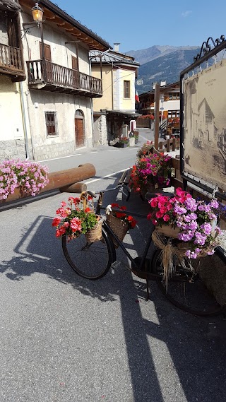 Azienda Agricola Il Girasole